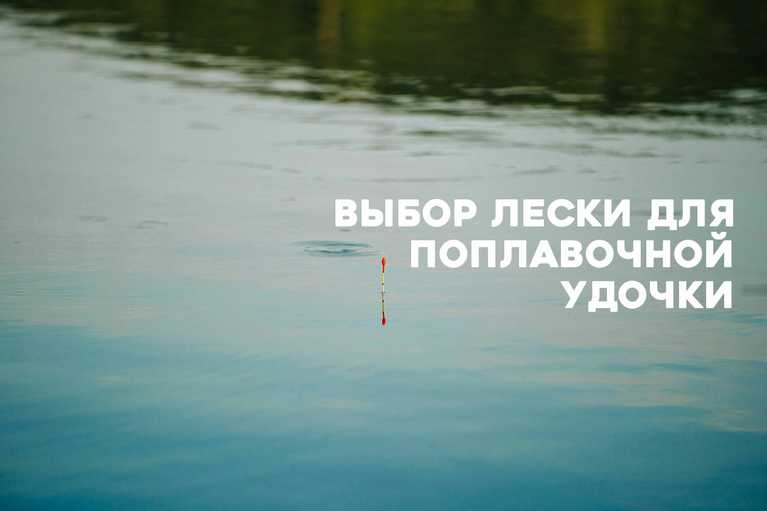 Леска для поплавочной удочки: как выбрать и какую использовать Леска для поплавочной удочки: как выбрать и какую использовать