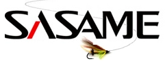 Sasame Sasame