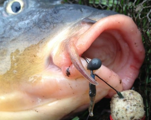 19460_det1