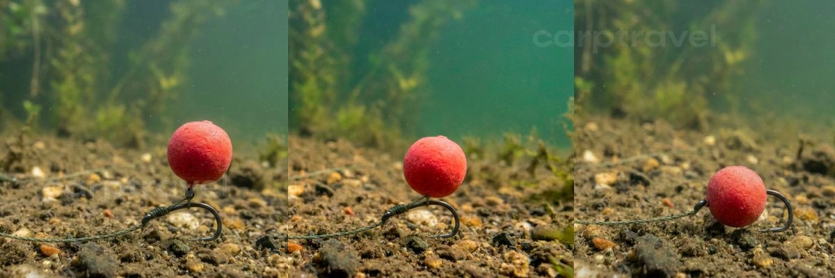 Плавающие бойлы CarpTravel в воде через 6, 12 и 24 часа Плавающие бойлы CarpTravel в воде через 6, 12 и 24 часа