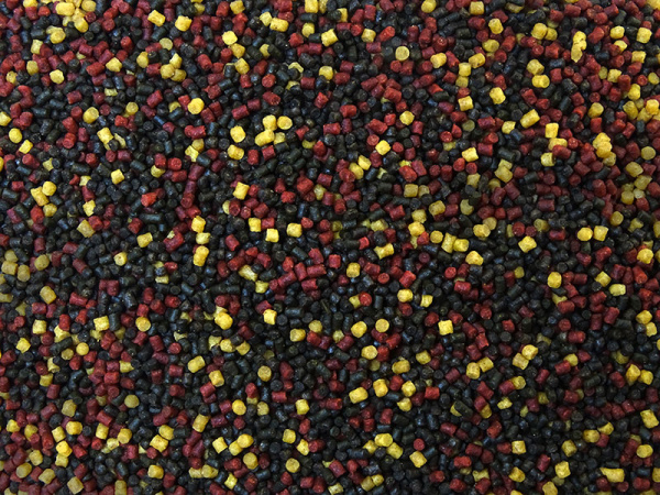 DSC06126 — копия