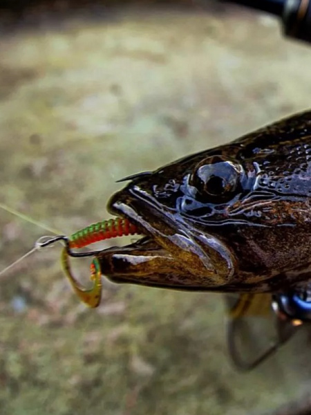 Крючок офсетный  Рыболовная империя Fish_Emp OFFSET Size 6 Никель 5шт