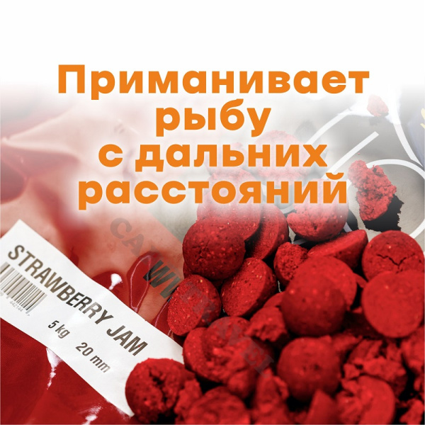 Бойлы тонущие Lion Baits  Euro Baits Strawberry Jam 20мм 5 кг (Клубничный джем)