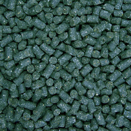1338_1