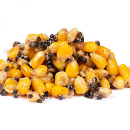2105_4