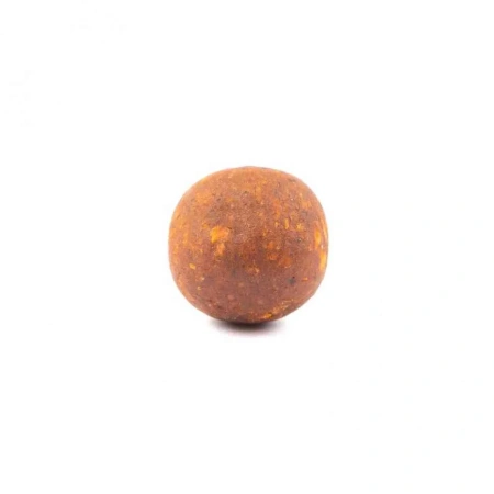 HB0005_2