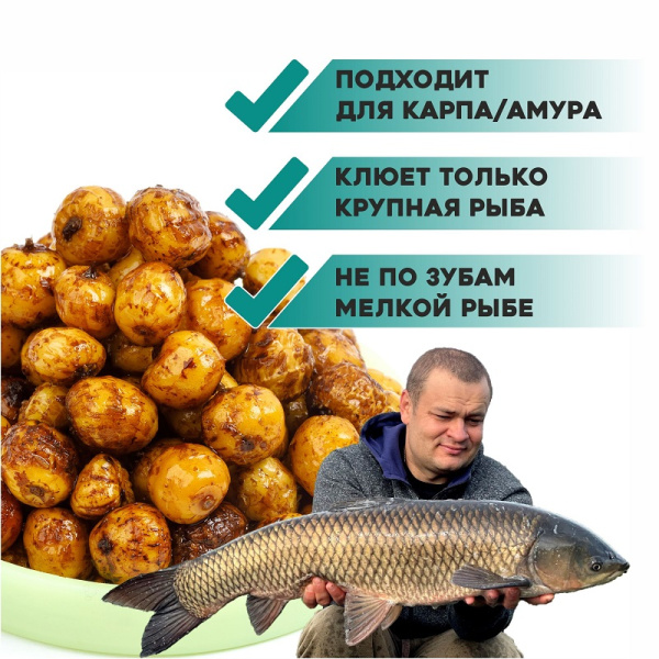 Зерновая смесь Carptravel  Tiger Nut 980 г (Тигровый Орех) 1