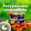Бойлы тонущие GBS Baits Насадочные Charming Plum  15мм 132 г (Чарующая слива) 1